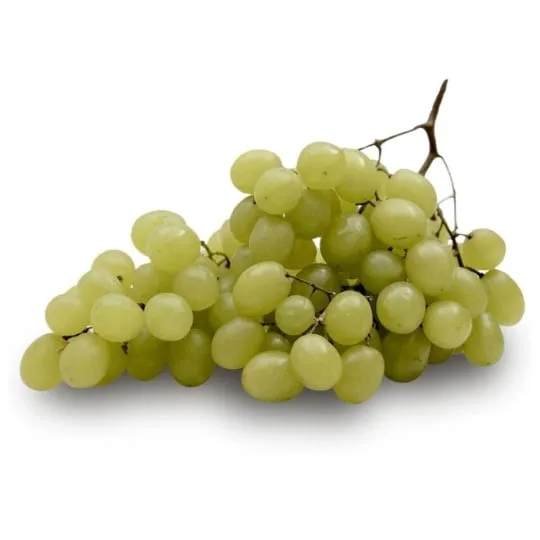 RAISIN